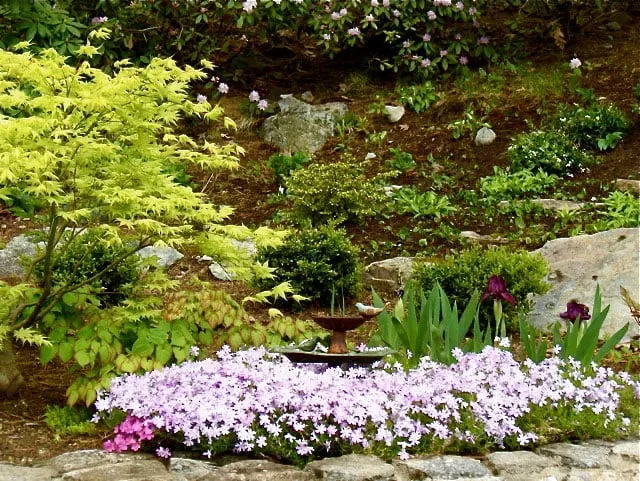 Custom landscaping services experts serving Falmouth, MA - Green Velvet Gardens