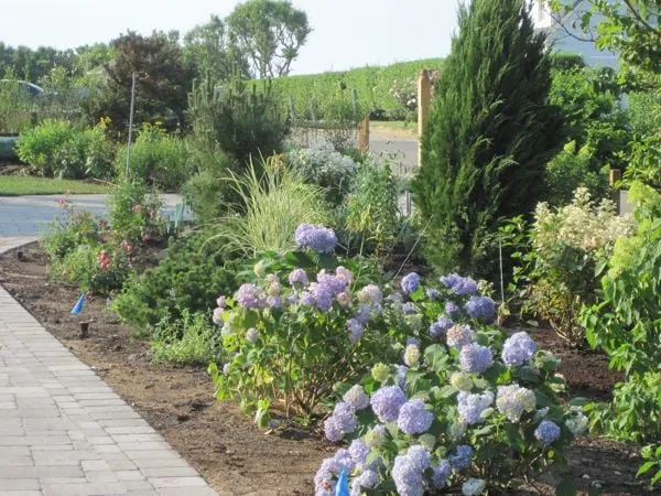 Professional landscaping services in Falmouth, MA - Green Velvet Gardens