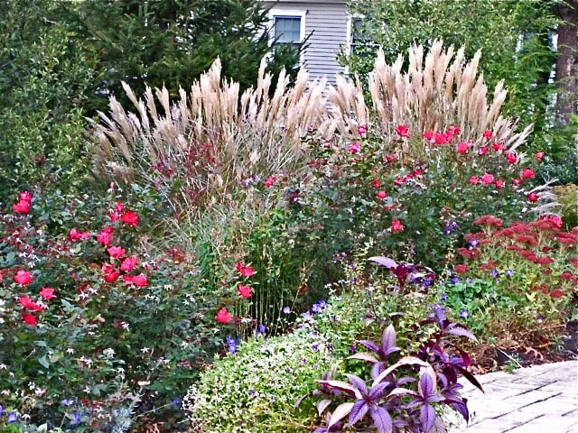 Trusted landscaping services for residential properties across Falmouth, MA - Green Velvet Gardens