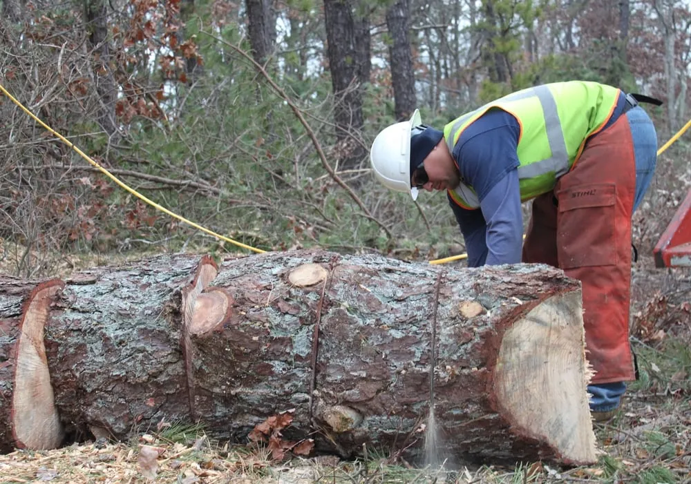 Top-rated landscape installation in Bay Shore, NY - Green Velvet Landscape
