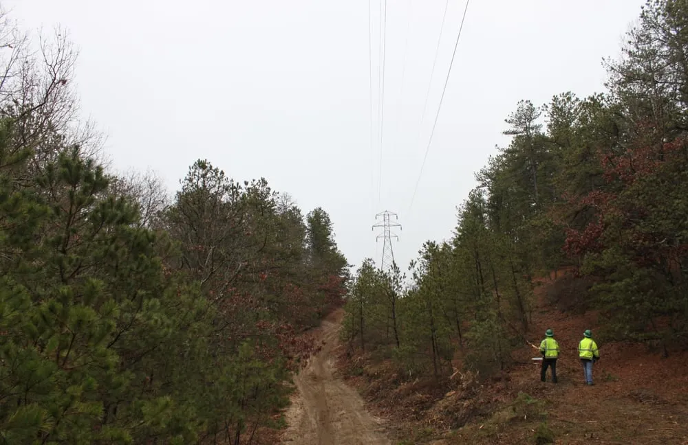 Reliable lawn mowing service in Bay Shore, NY by Green Velvet Landscape