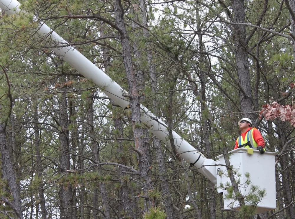 Top-rated lawn care service in Bay Shore, NY - Green Velvet Landscape