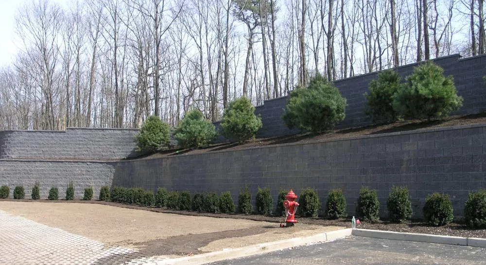 Custom landscape design in Bay Shore, NY - Green Velvet Landscape