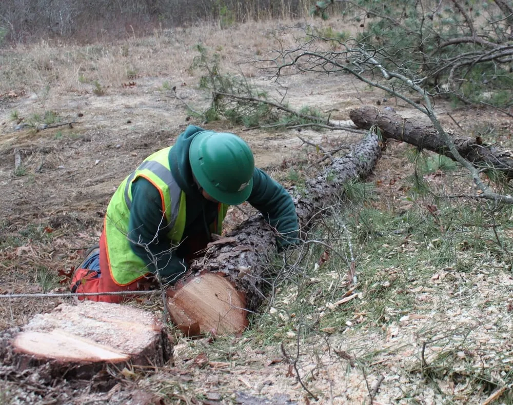 Top-rated garden landscaping with custom design in Bay Shore, NY by Green Velvet Landscape