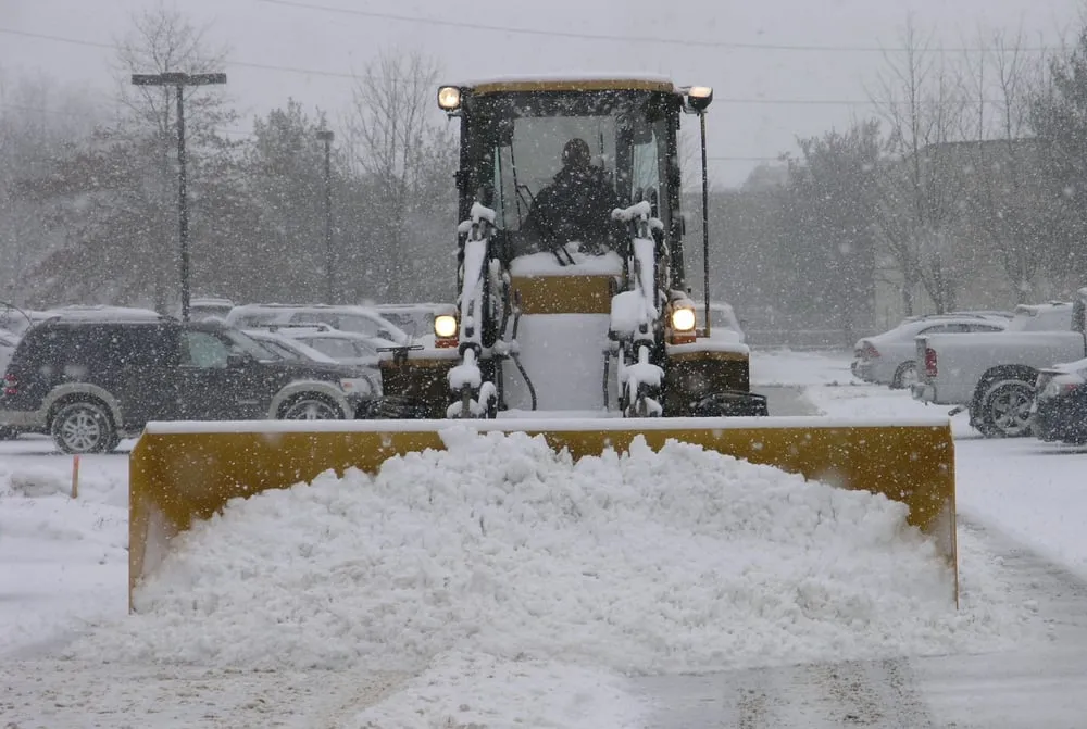 Local outdoor landscaping experts serving Bay Shore, NY - Green Velvet Landscape