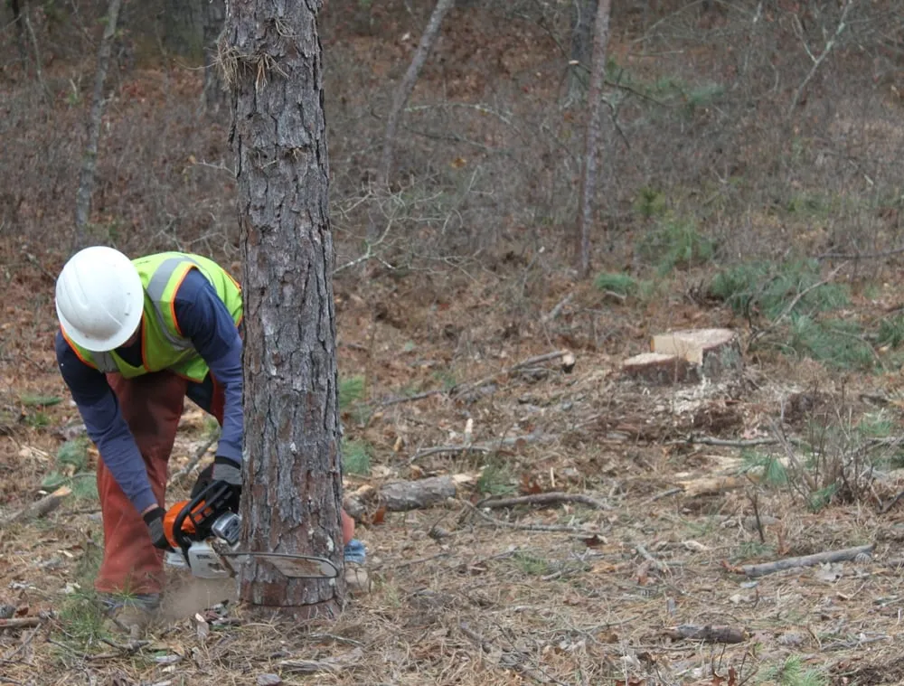 Expert lawn care service for beautiful yards in Bay Shore, NY by Green Velvet Landscape