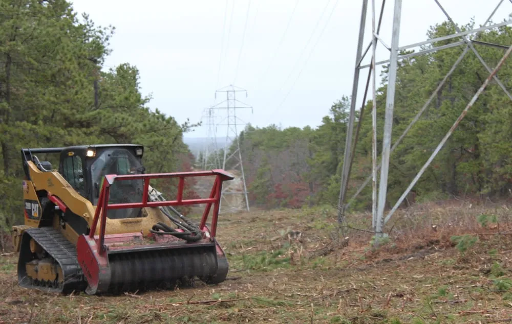 Expert yard cleanup service in Bay Shore, NY - Green Velvet Landscape