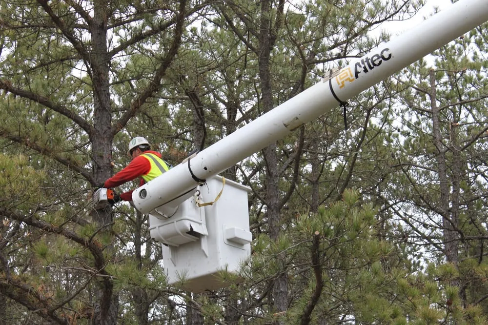 Custom landscape installation for homes in Bay Shore, NY by Green Velvet Landscape