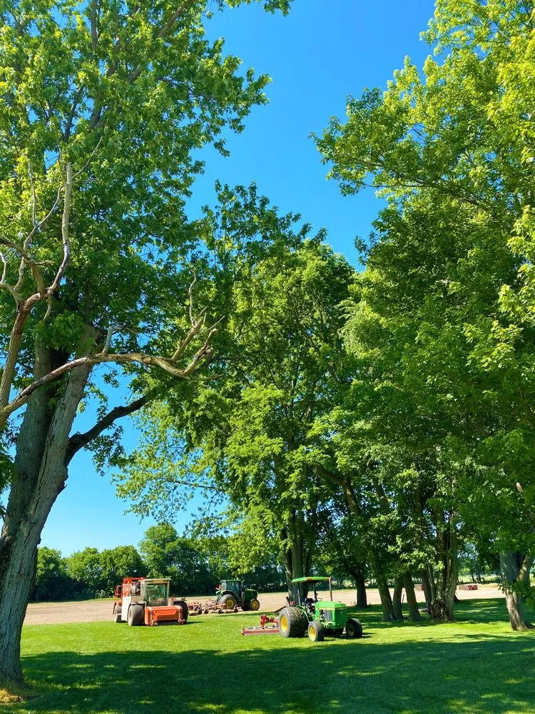 Trusted outdoor landscaping experts serving New Carlisle, OH - Green Velvet Sod Farms