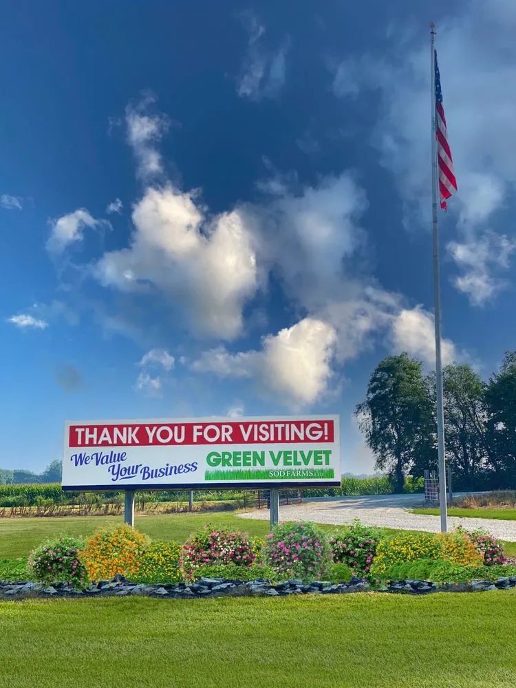 Expert yard cleanup service in New Carlisle, OH - Green Velvet Sod Farms