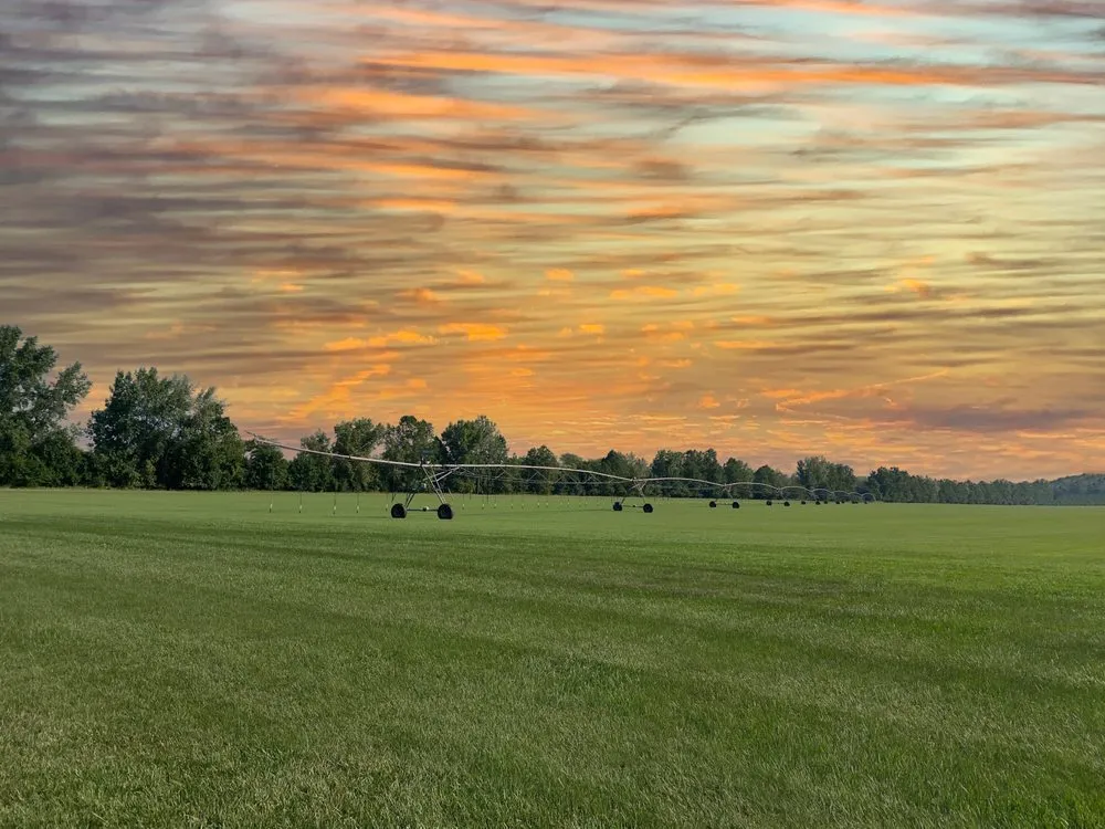 Trusted yard maintenance for residential properties across New Carlisle, OH - Green Velvet Sod Farms