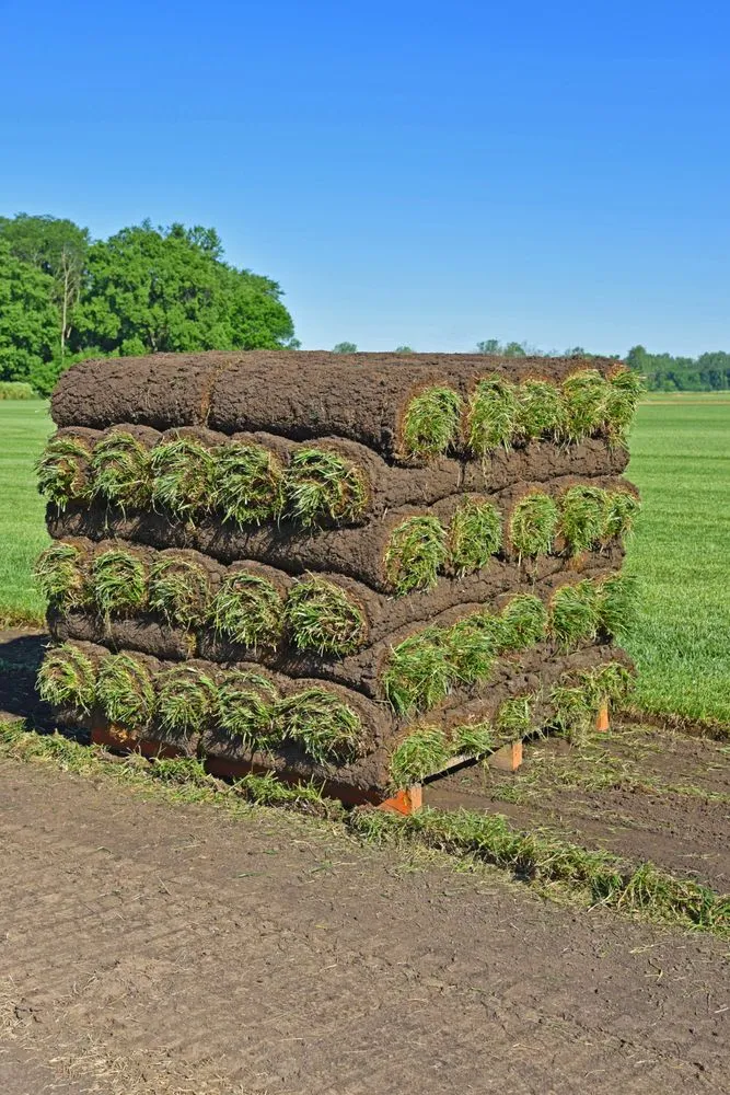 Top-rated outdoor landscaping for beautiful yards in New Carlisle, OH by Green Velvet Sod Farms