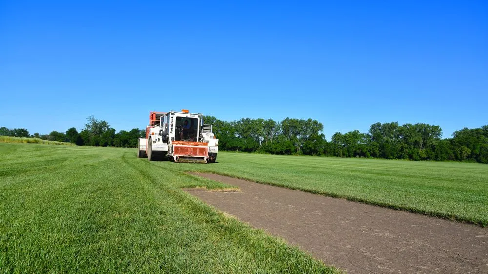 Affordable residential landscaping for residential properties across New Carlisle, OH - Green Velvet Sod Farms