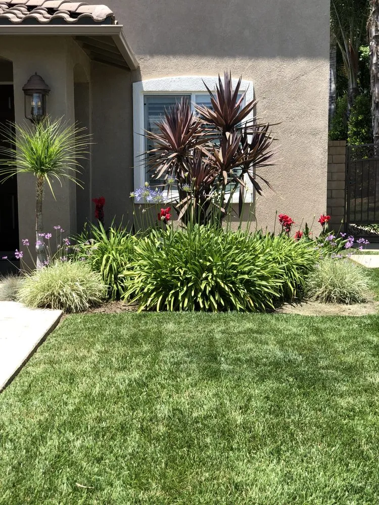 Top-rated landscape design near you in Temecula, CA by Green Vibes Landscaping