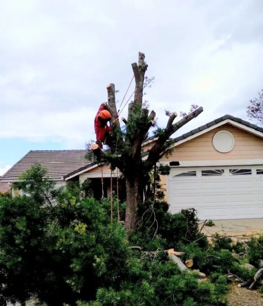 Local landscaping services for outdoor upgrades in La Puente, CA by Green View Landscape