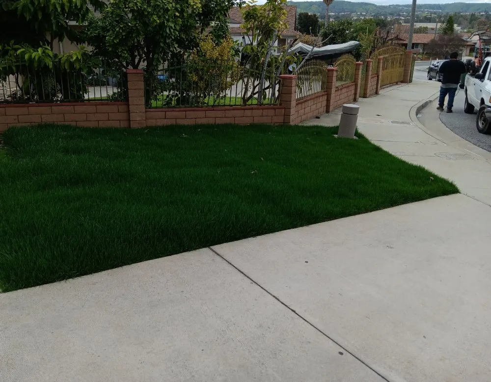 Expert lawn care service for residential properties in La Puente, CA by Green View Landscape