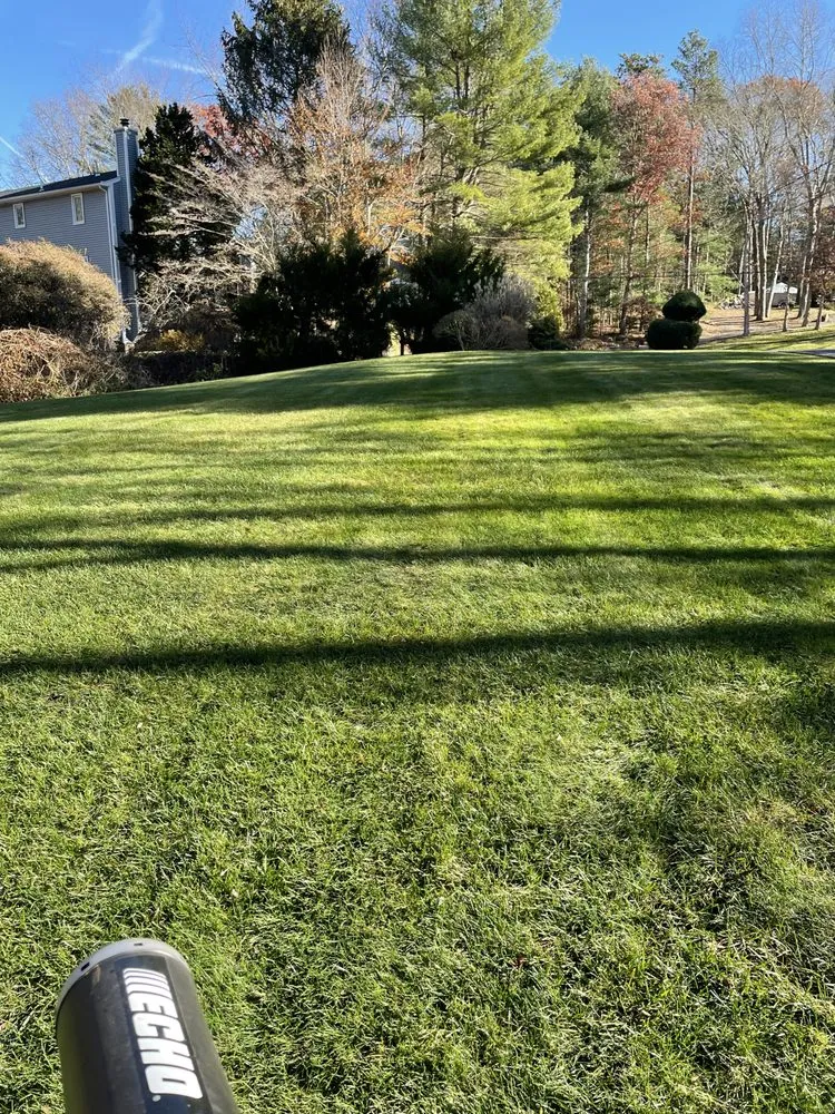 Top-rated landscaping services for beautiful yards across New Bedford, MA - Green View Landscape