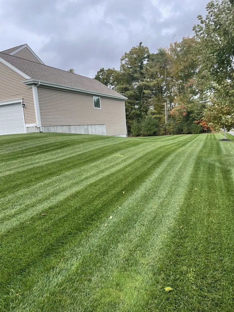 Reliable yard cleanup service in New Bedford, MA - Green View Landscape