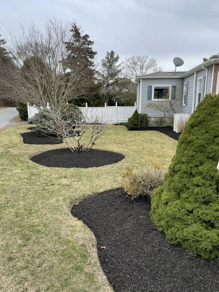 Trusted yard cleanup service in New Bedford, MA - Green View Landscape