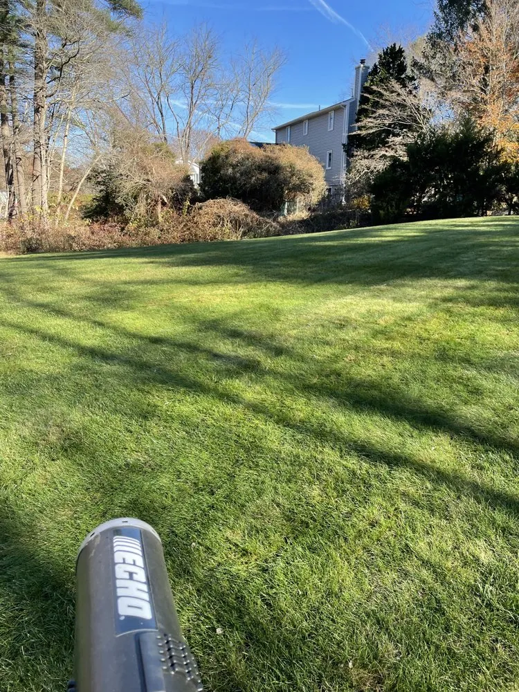 Expert garden landscaping in New Bedford, MA by Green View Landscape