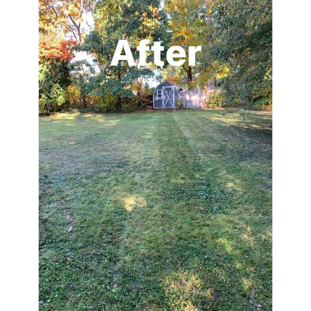 Expert yard maintenance for homes in New Bedford, MA by Green View Landscape