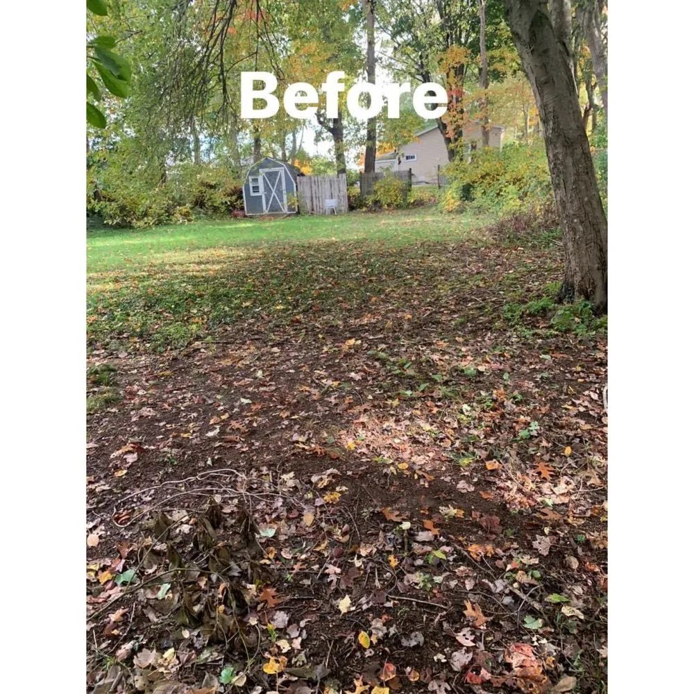 Trusted landscaping services experts serving New Bedford, MA - Green View Landscape