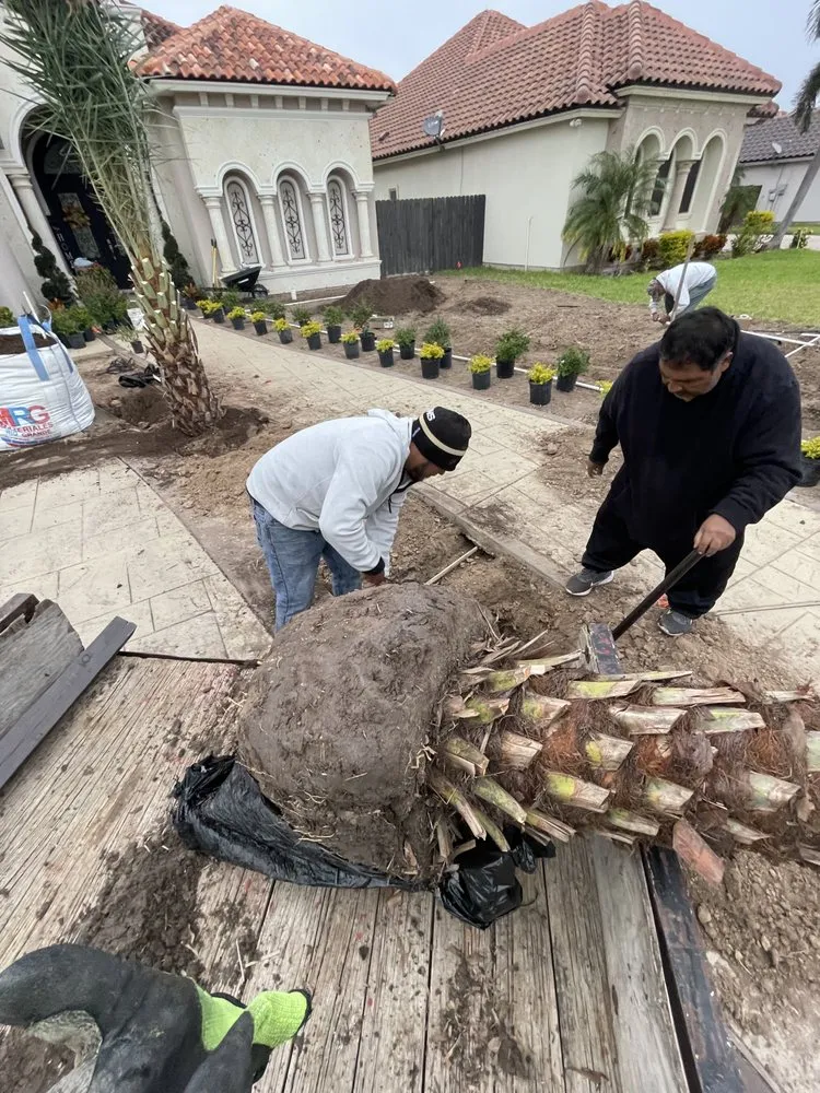 Affordable residential landscaping for outdoor upgrades across McAllen, TX - Green View Landscapes