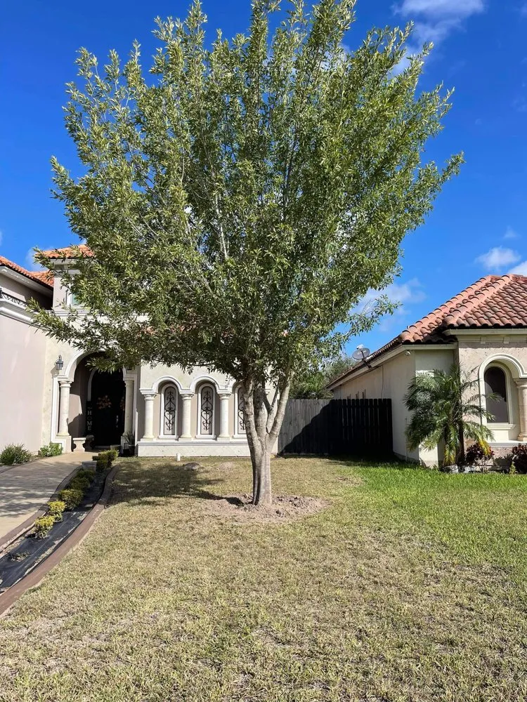 Affordable garden landscaping in McAllen, TX - Green View Landscapes