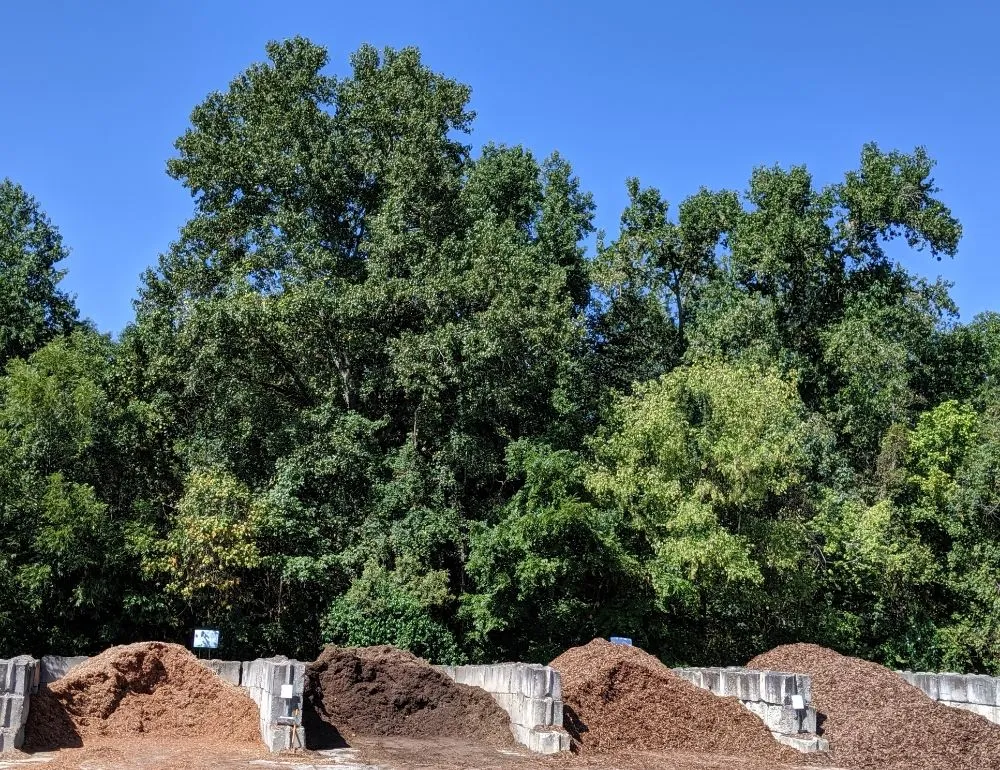 Affordable outdoor landscaping in Greensboro, NC - Green View Landscaping