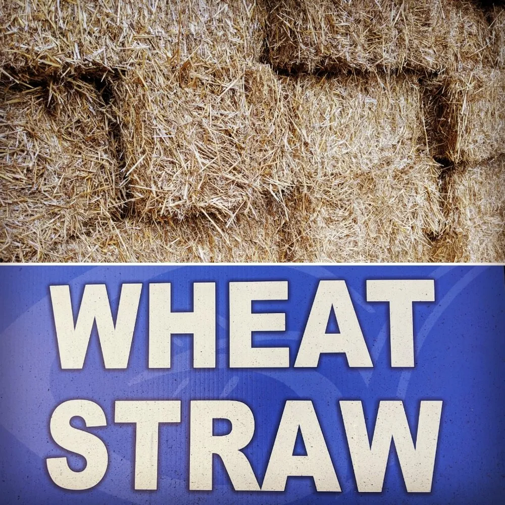 Top-rated yard cleanup service in Greensboro, NC - Green View Landscaping