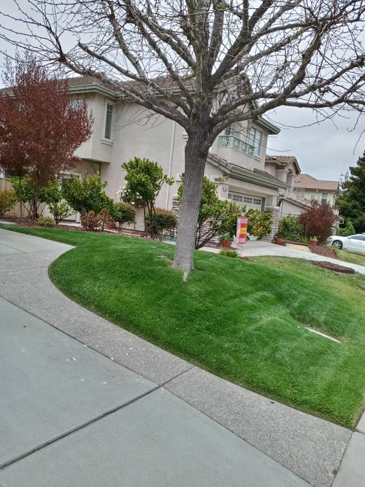 Local lawn mowing service for residential properties in Greenfield, CA by Green View Landscaping Inc