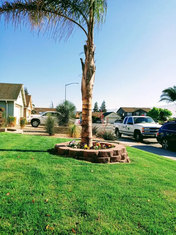 Expert garden landscaping near you across Greenfield, CA - Green View Landscaping Inc