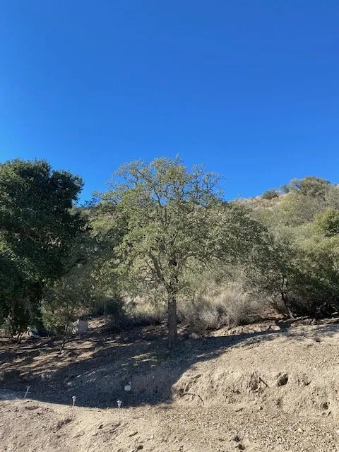 Trusted yard maintenance in Greenfield, CA - Green View Landscaping Inc