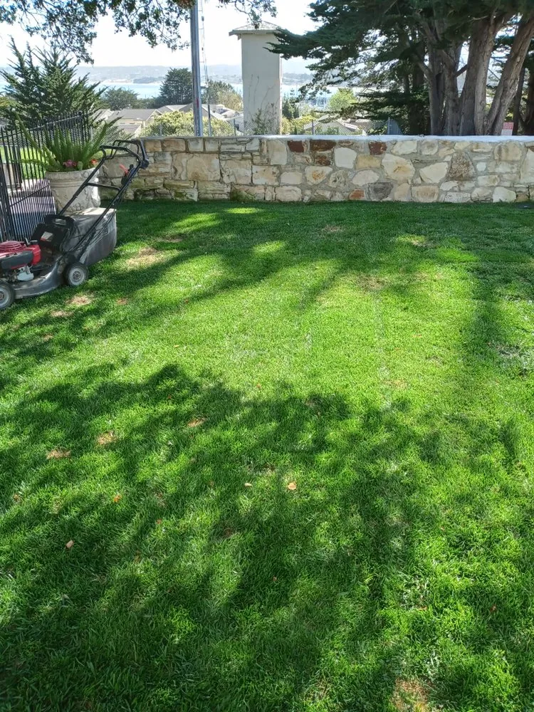 Affordable lawn mowing service in Greenfield, CA by Green View Landscaping Inc