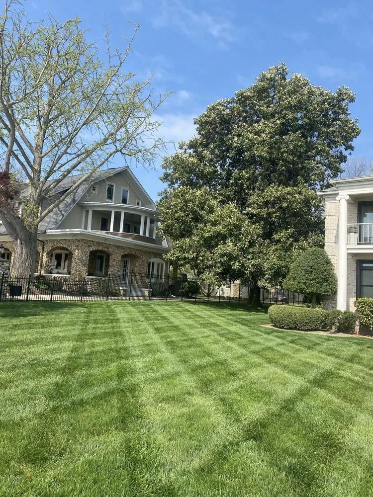 Affordable yard cleanup service in Newport News, VA by Green View Lawn Care
