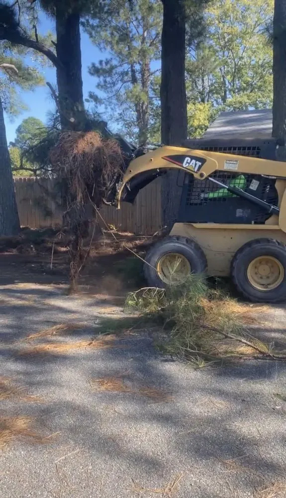 Professional yard maintenance experts serving Newport News, VA - Green View Lawn Care