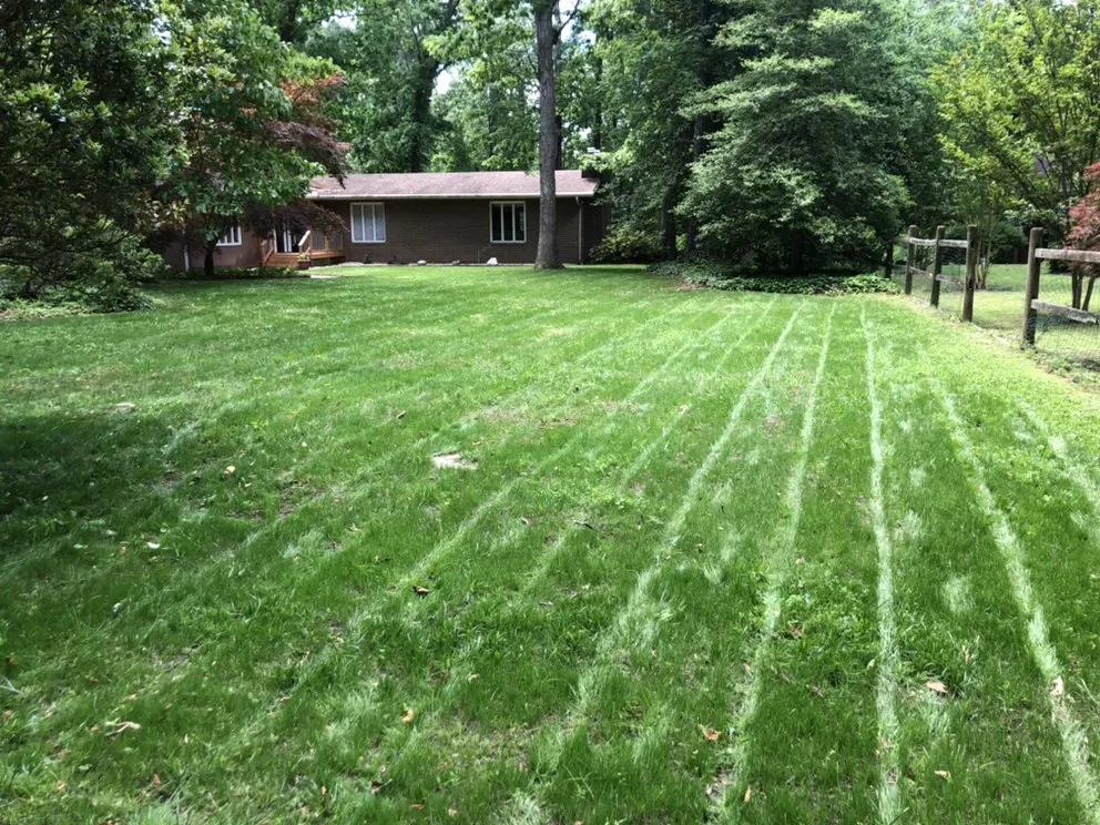 Top-rated yard cleanup service experts serving Newport News, VA - Green View Lawn Care