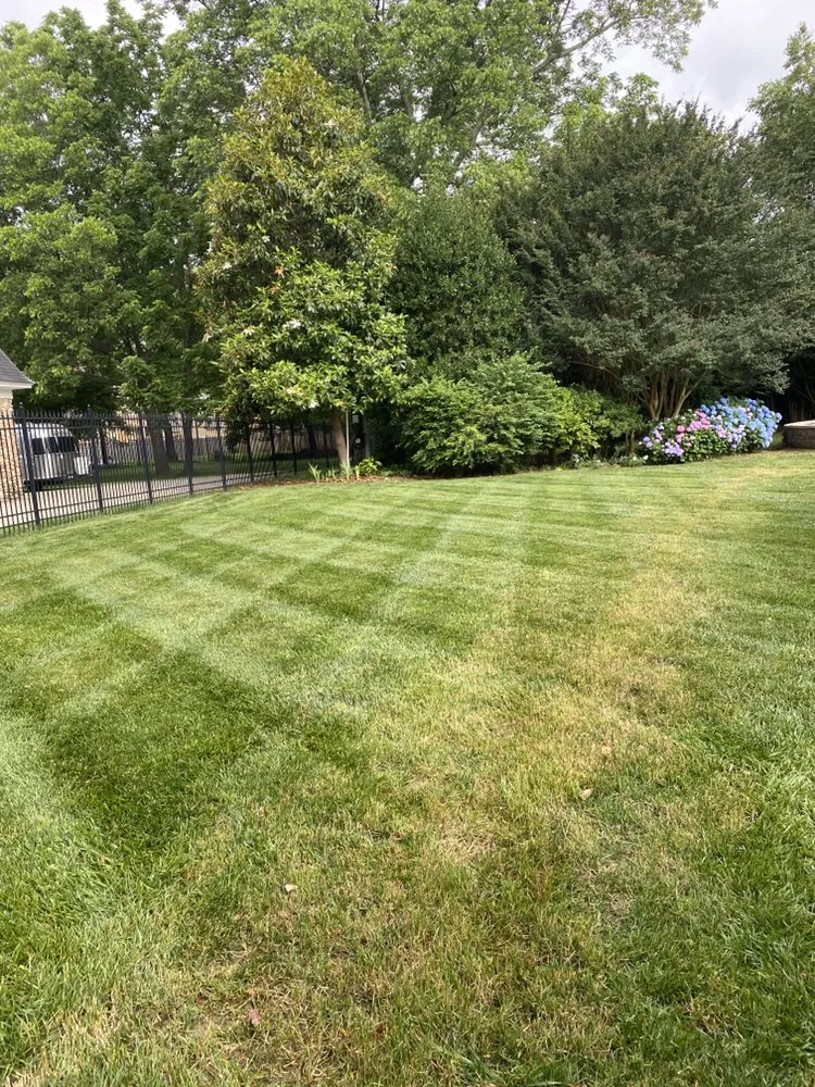 Reliable landscape installation in Newport News, VA - Green View Lawn Care