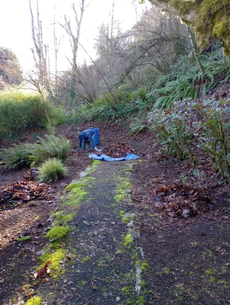 Affordable garden landscaping experts serving Woodburn, OR - Green View Maintenance