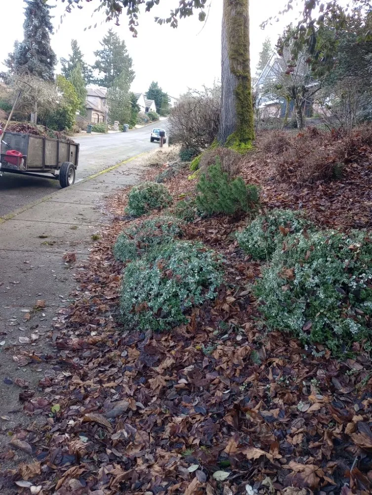 Custom garden landscaping for year-round maintenance across Woodburn, OR - Green View Maintenance