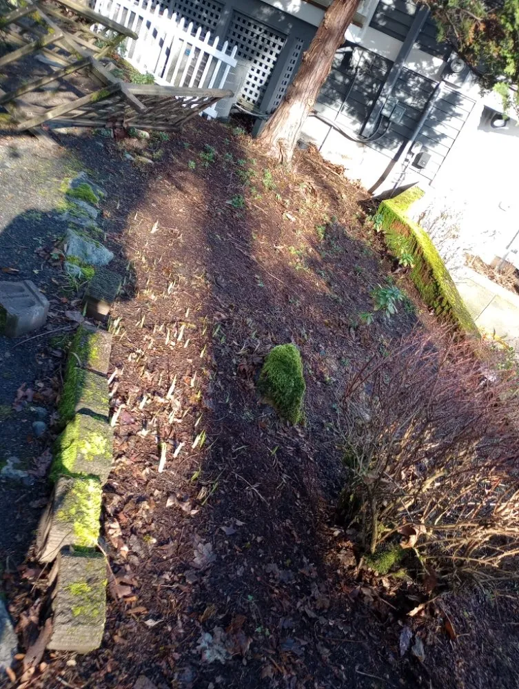 Affordable garden landscaping in Woodburn, OR by Green View Maintenance