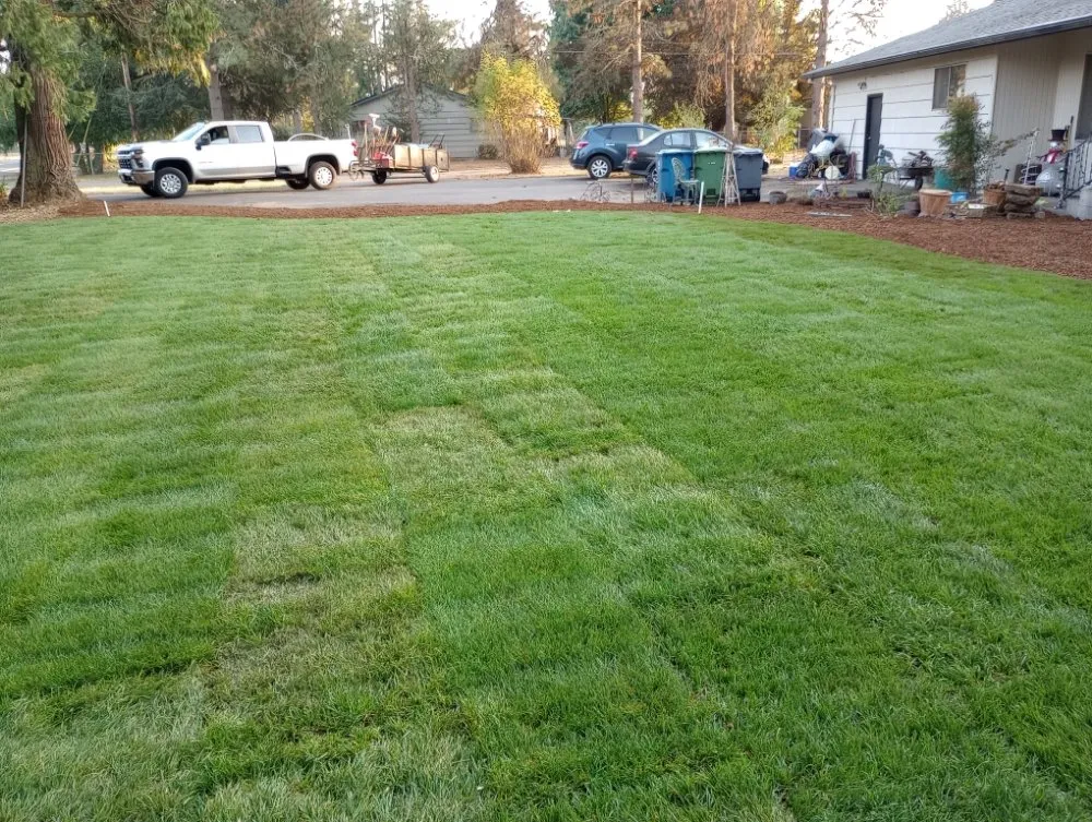 Affordable outdoor landscaping for year-round maintenance across Woodburn, OR - Green View Maintenance