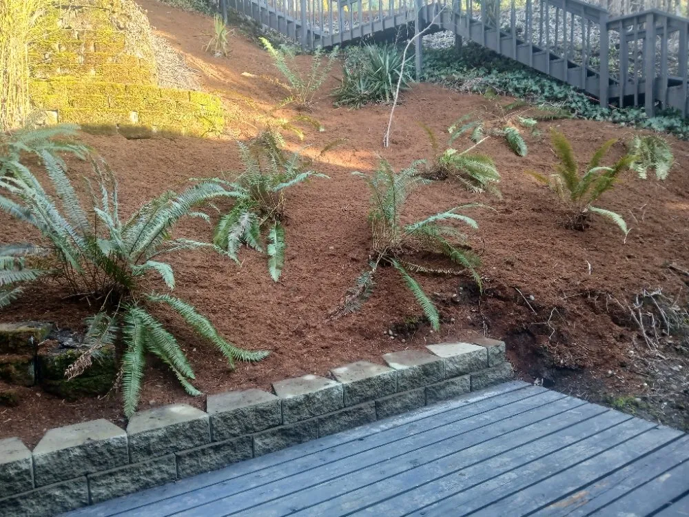 Custom yard maintenance in Woodburn, OR by Green View Maintenance