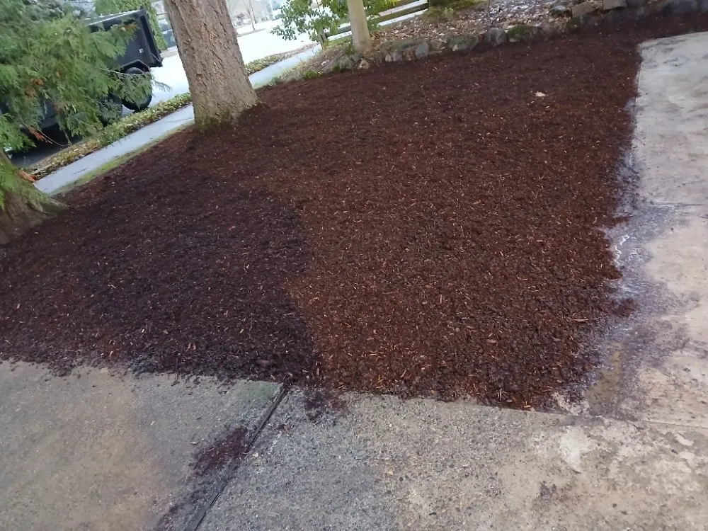 Local yard maintenance experts serving Woodburn, OR - Green View Maintenance