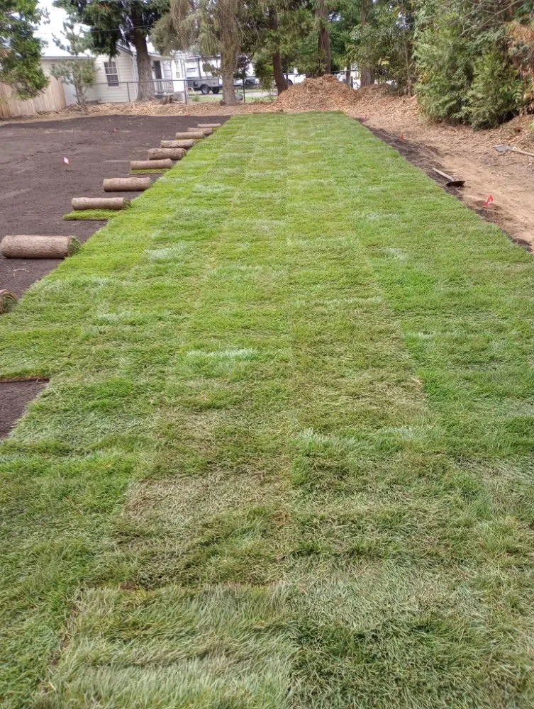 Expert outdoor landscaping in Woodburn, OR - Green View Maintenance