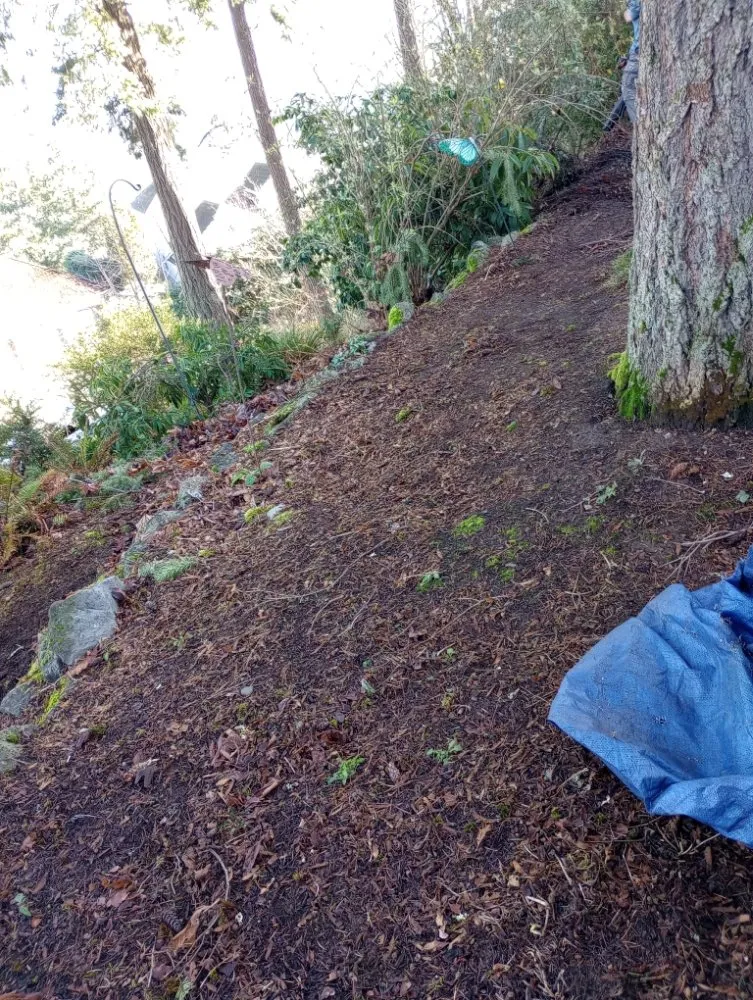 Professional lawn care service in Woodburn, OR by Green View Maintenance