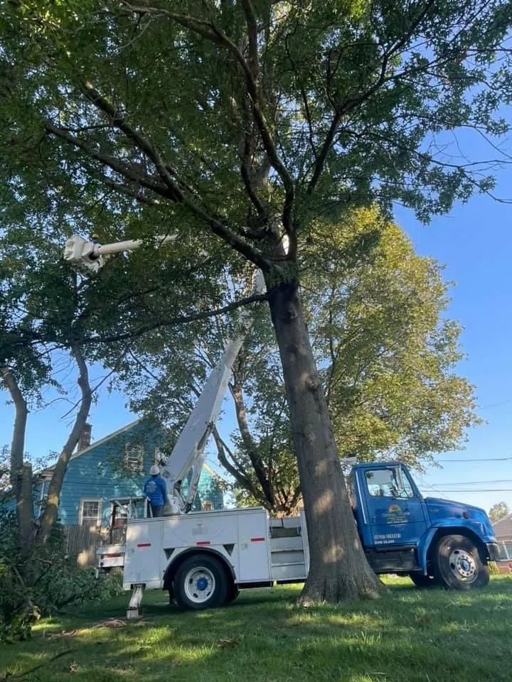 Reliable landscaping services experts serving Cranston, RI - Green View Tree Service