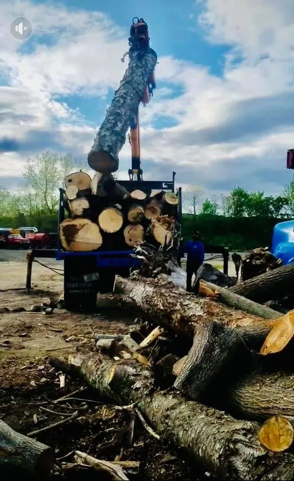 Local lawn mowing service for homes across Cranston, RI - Green View Tree Service