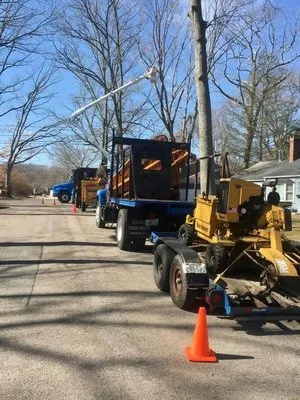 Green View Tree Service Logo