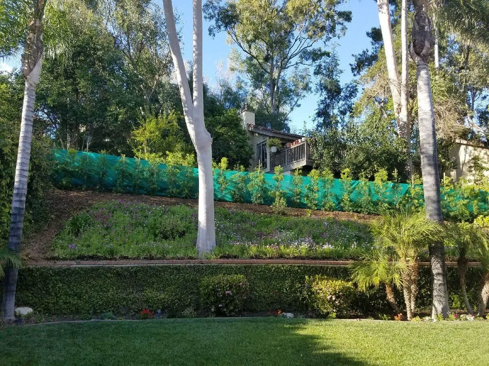 Professional yard cleanup service in Los Angeles, CA - Green View Trees Service